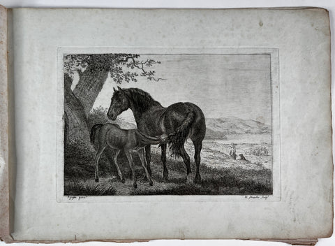 Horses after Jacques Laurent Agasse by Nicolas SCHENKER