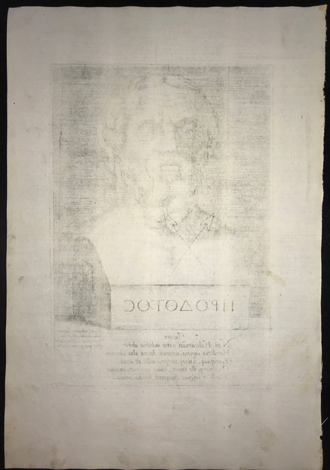 Agostino Veneziano - Portrait of Herodotus
