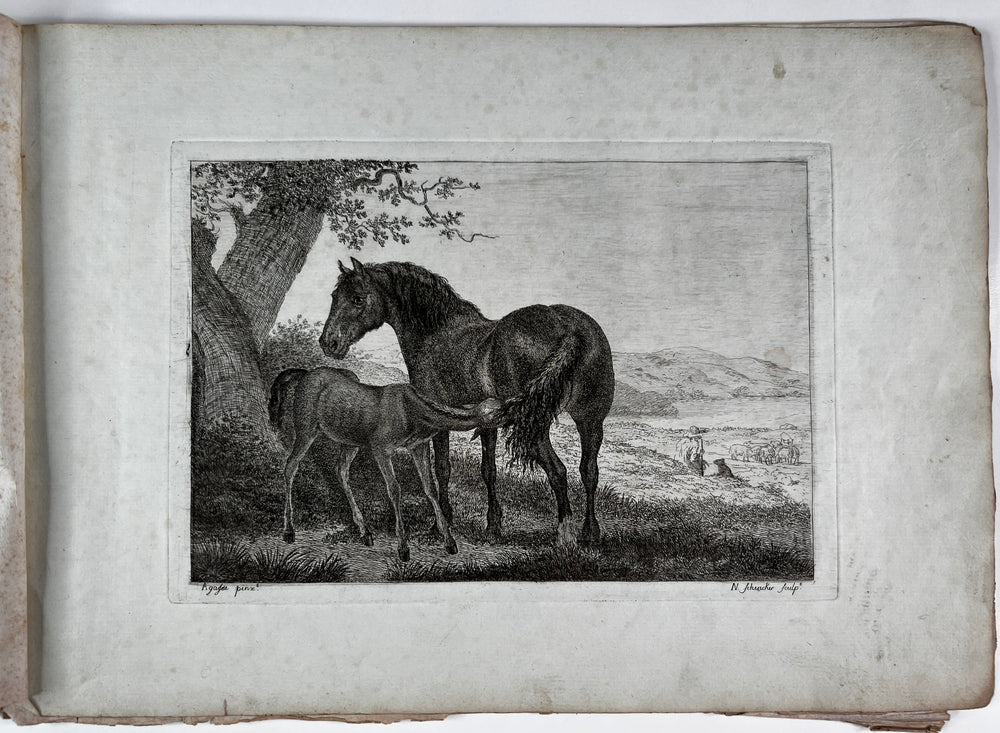 Horses after Jacques Laurent Agasse by Nicolas SCHENKER