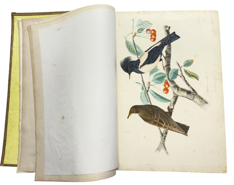 DEMIDOFF, Anatole - Voyage dans la Russie