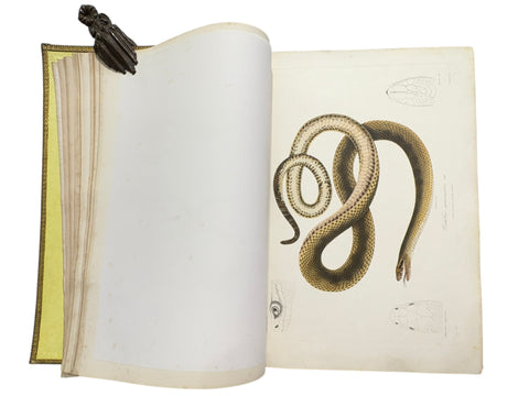 DEMIDOFF, Anatole - Voyage dans la Russie