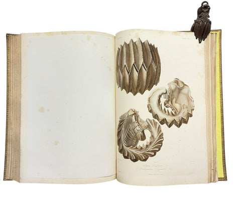 DEMIDOFF, Anatole - Voyage dans la Russie