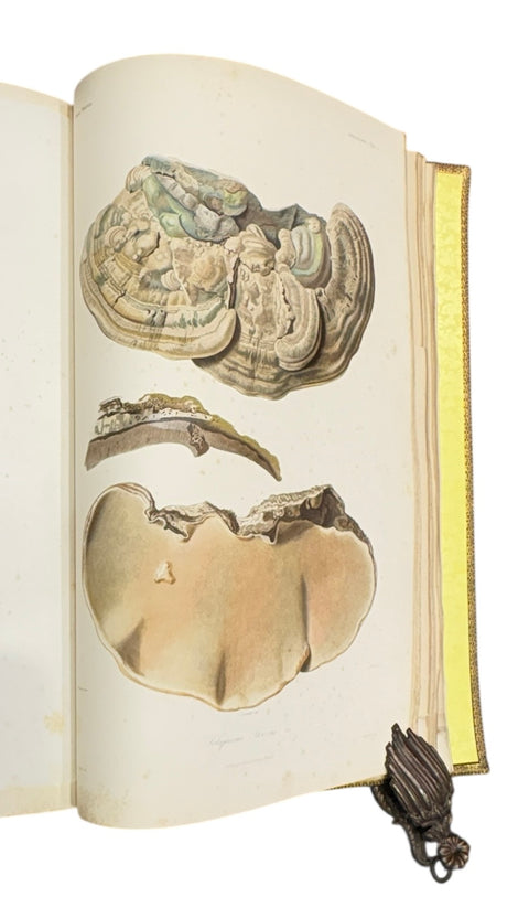 DEMIDOFF, Anatole - Voyage dans la Russie