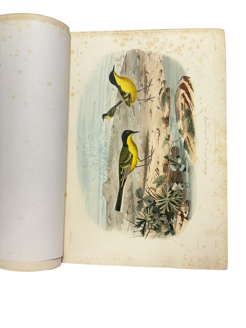 DEMIDOFF, Anatole - Voyage dans la Russie