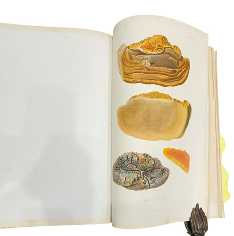 DEMIDOFF, Anatole - Voyage dans la Russie