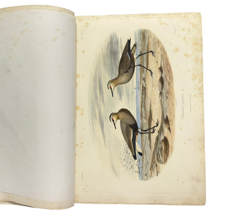 DEMIDOFF, Anatole - Voyage dans la Russie