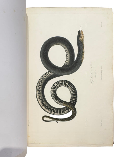 DEMIDOFF, Anatole - Voyage dans la Russie