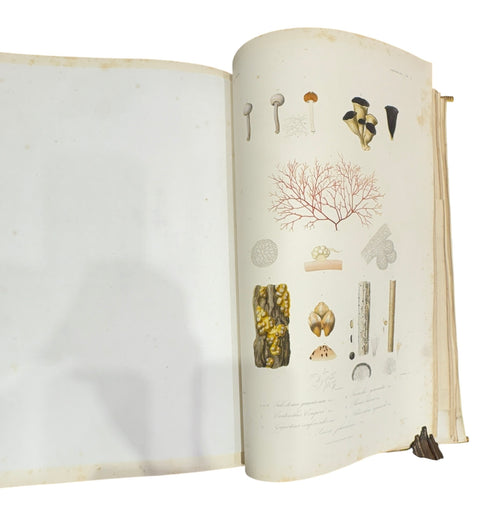 DEMIDOFF, Anatole - Voyage dans la Russie