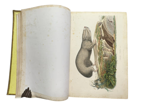 DEMIDOFF, Anatole - Voyage dans la Russie