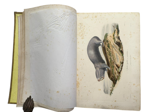 DEMIDOFF, Anatole - Voyage dans la Russie