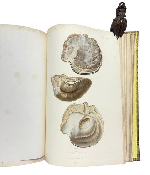 DEMIDOFF, Anatole - Voyage dans la Russie