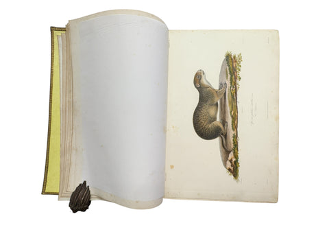 DEMIDOFF, Anatole - Voyage dans la Russie