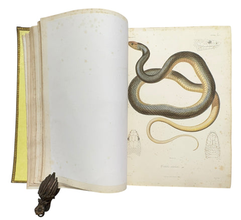 DEMIDOFF, Anatole - Voyage dans la Russie