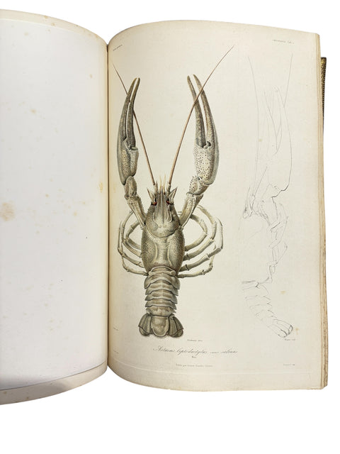 DEMIDOFF, Anatole - Voyage dans la Russie