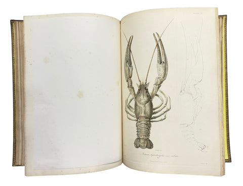 DEMIDOFF, Anatole - Voyage dans la Russie