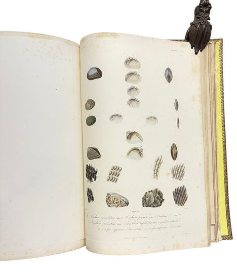 DEMIDOFF, Anatole - Voyage dans la Russie