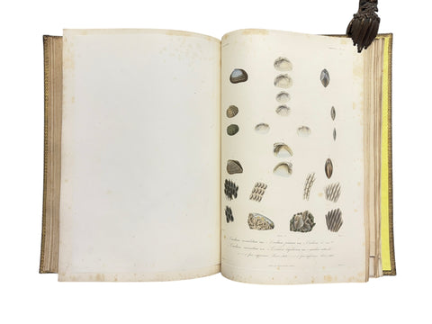 DEMIDOFF, Anatole - Voyage dans la Russie