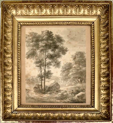 Study of a Tree -  DE BOISSIEU