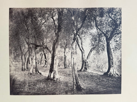 3 volumes photographic collection albumen prints