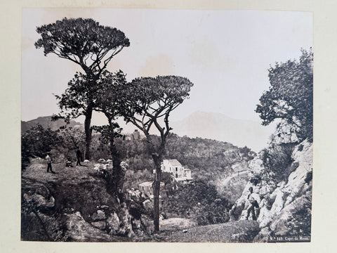 3 volumes photographic collection albumen prints