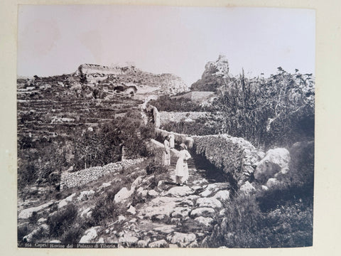 3 volumes photographic collection albumen prints