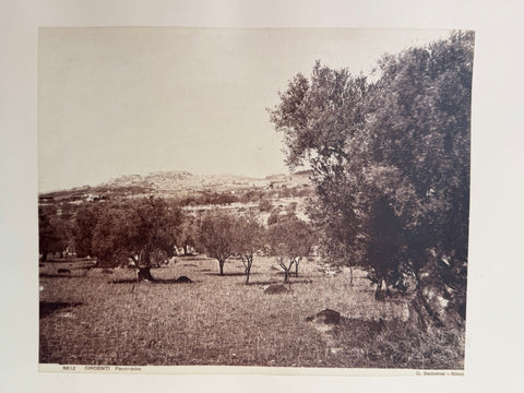 3 volumes photographic collection albumen prints