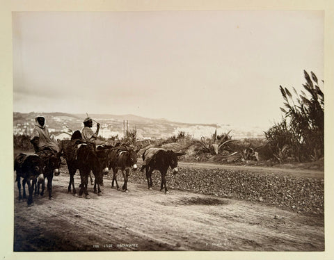 3 volumes photographic collection albumen prints
