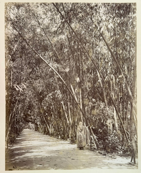 3 volumes photographic collection albumen prints