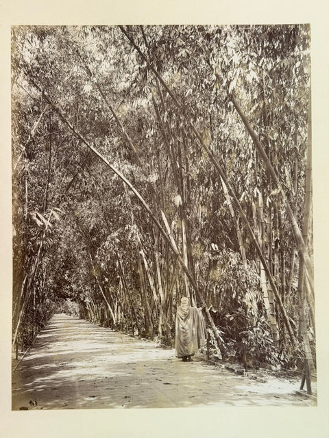 3 volumes photographic collection albumen prints