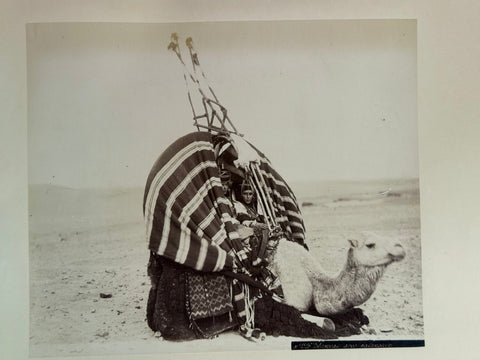 3 volumes photographic collection albumen prints