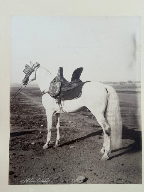 3 volumes photographic collection albumen prints