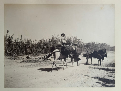 3 volumes photographic collection albumen prints