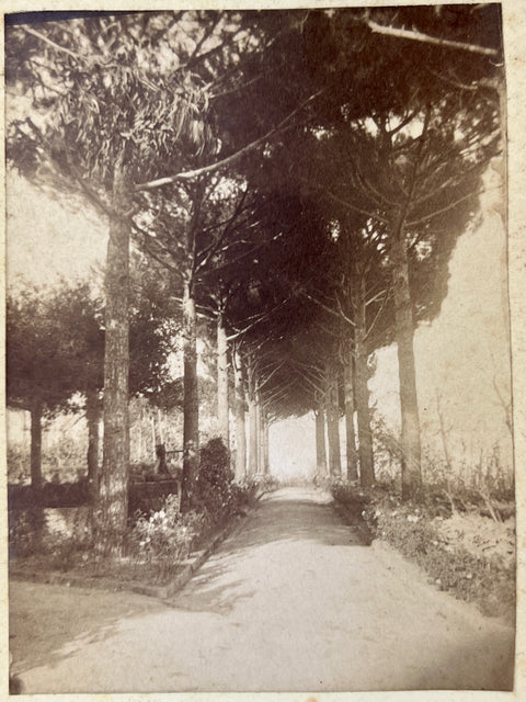 Villa La Fiorita 23 photographs from the 19th century