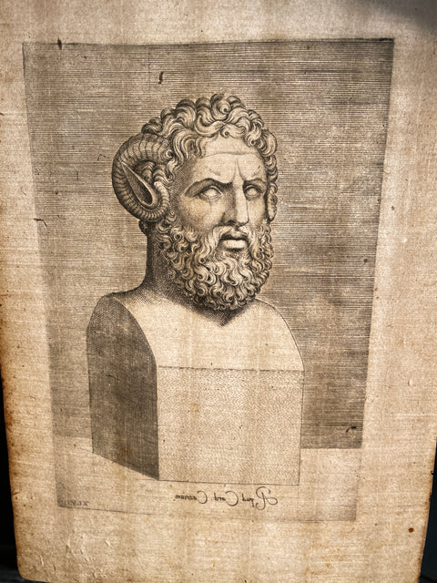 Agostino Veneziano Portrait of Zeus Ammon