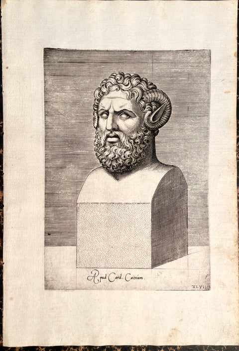 Agostino Veneziano Portrait of Zeus Ammon