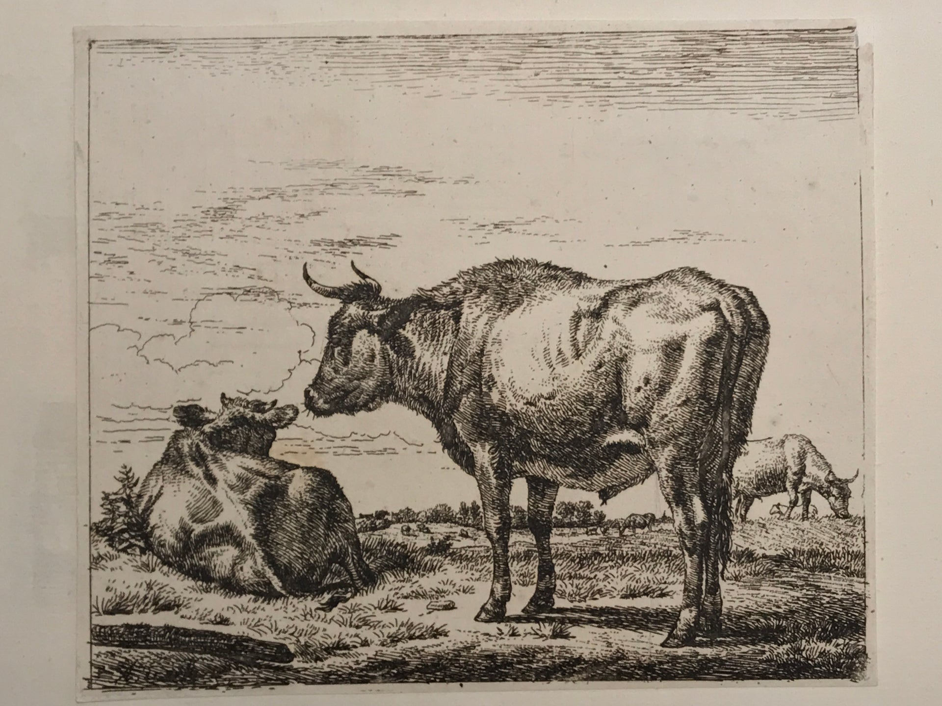 Adriaen van de Velde, Old Master Print Three Bull, ca. 1657/1659