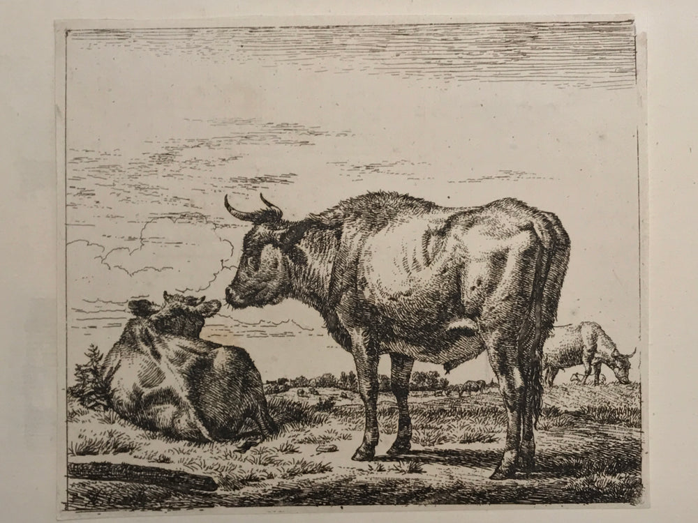 Adriaen van de Velde, Old Master Print Three Bull, ca. 1657/1659 - appleboutique-com