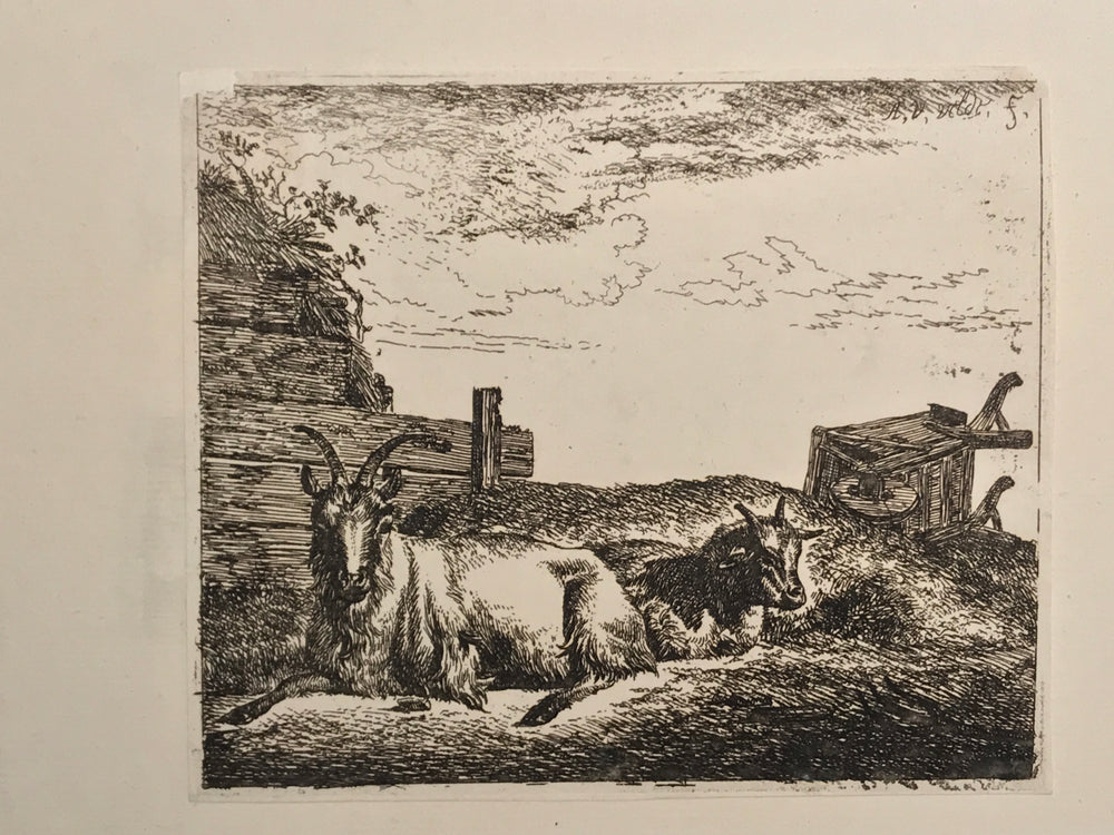 Adriaen van de Velde Recumbent Goats, Old Master Print ca. 1657/1659 - appleboutique-com