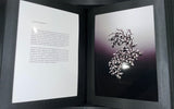 Cindy Chao - The Art Jewel - Rare Presentation Book