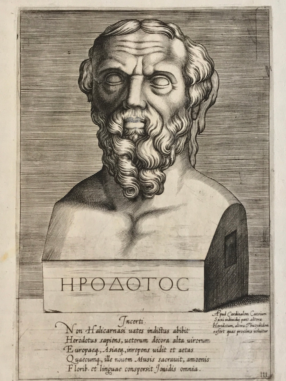 Agostino Veneziano - Portrait of Herodotus